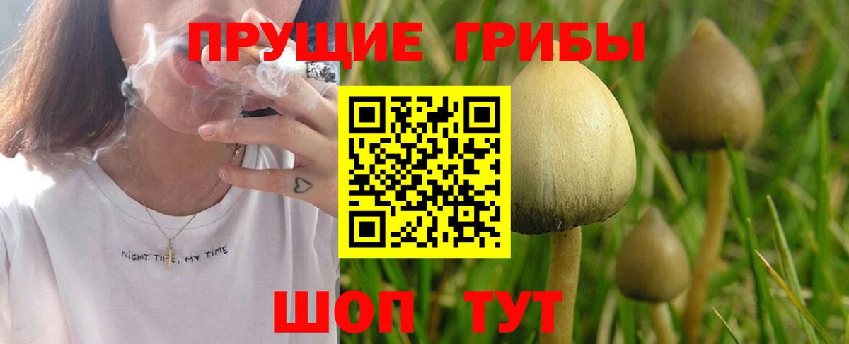 Ирбит  Псилоцибиновые грибы MAGIC MUSHROOMS  как найти   Вход с VPN 
